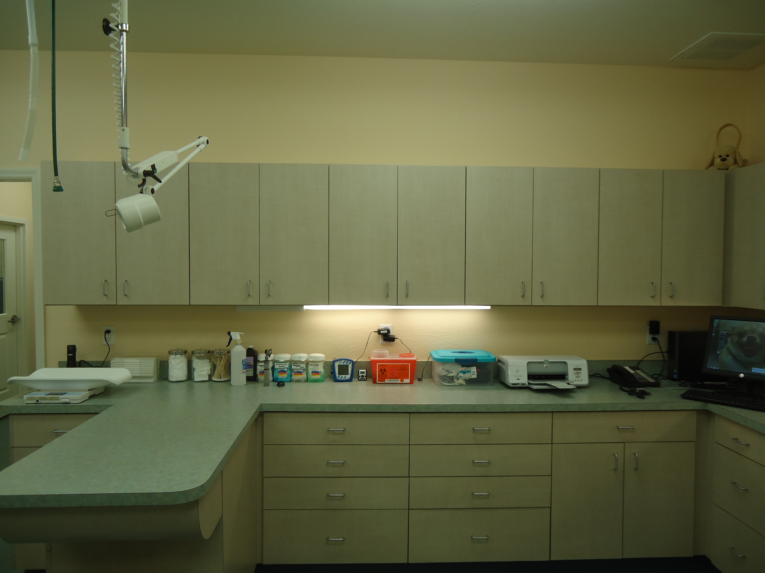 Our Lab